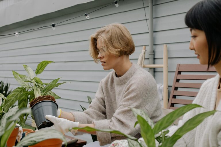Tips for Creating a Sustainable and Enjoyable Home Garden